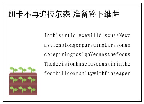 纽卡不再追拉尔森 准备签下维萨